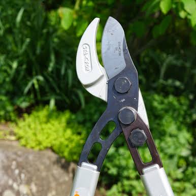 Industrial 28x22 Anvil Loppers - Rapid Cutting - Made in Italy