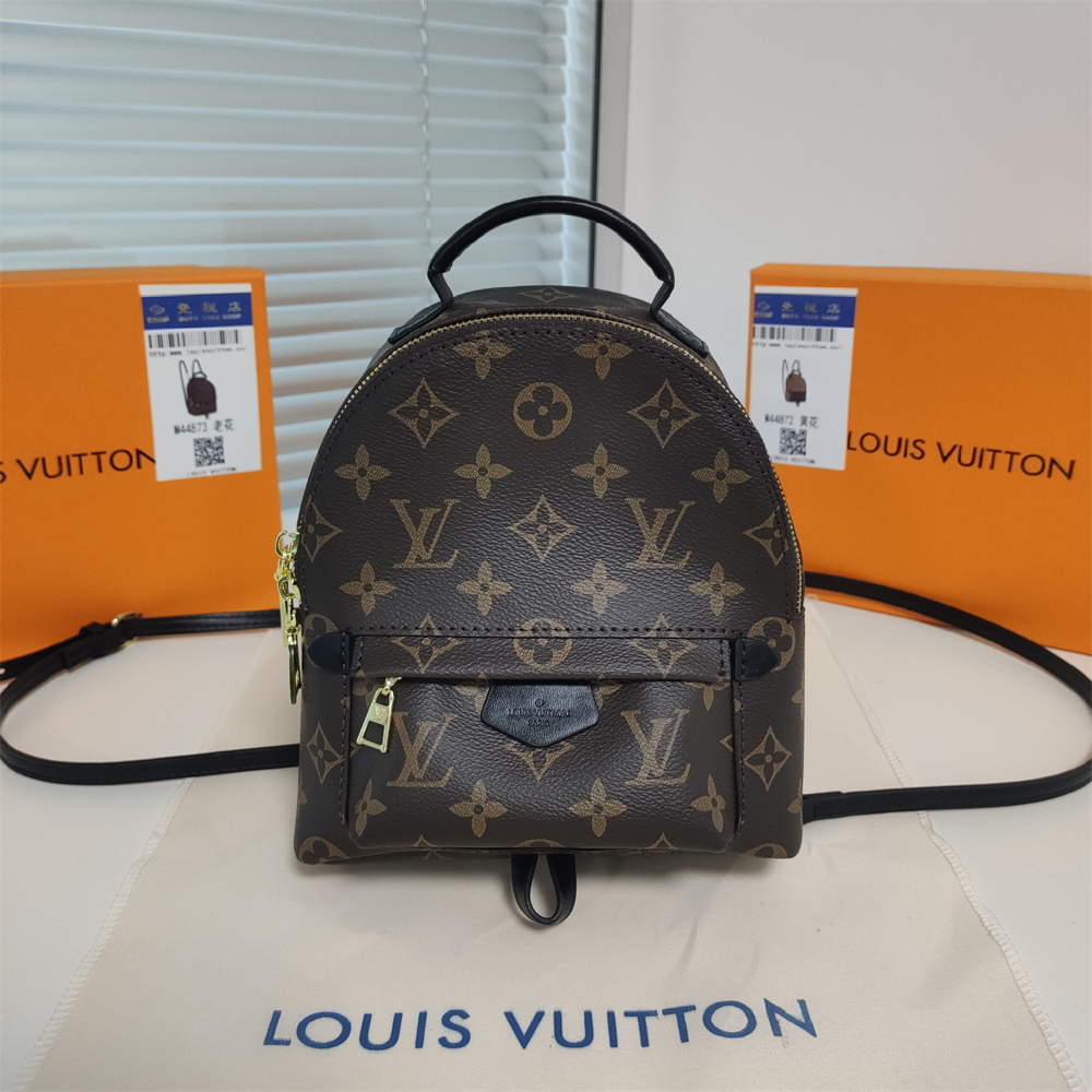 LV Palm Springs Backpack - cnluxepick