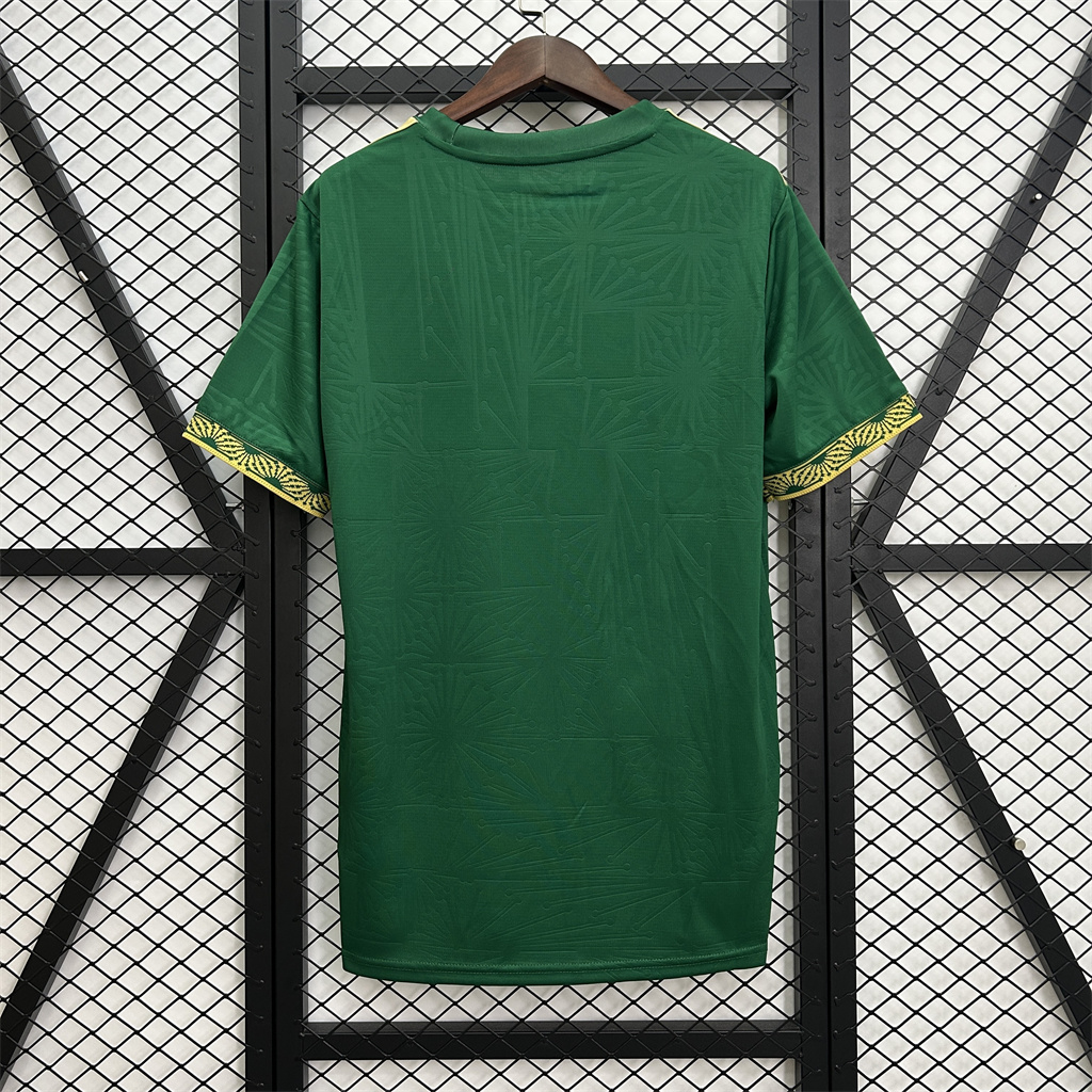 Mexico Gold Men Jersey 25/26 Green
