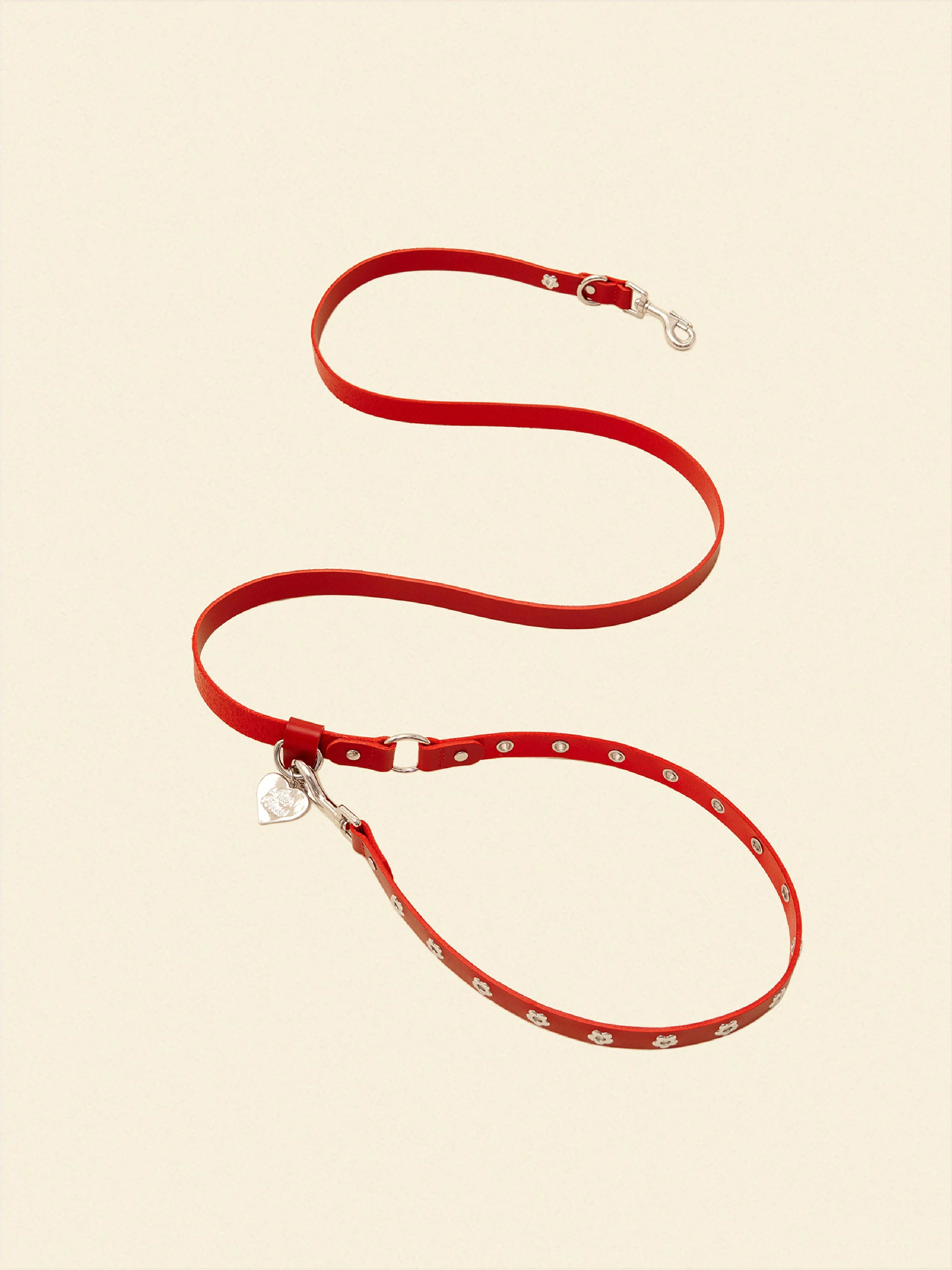 Ruby - Flower Power Leash
