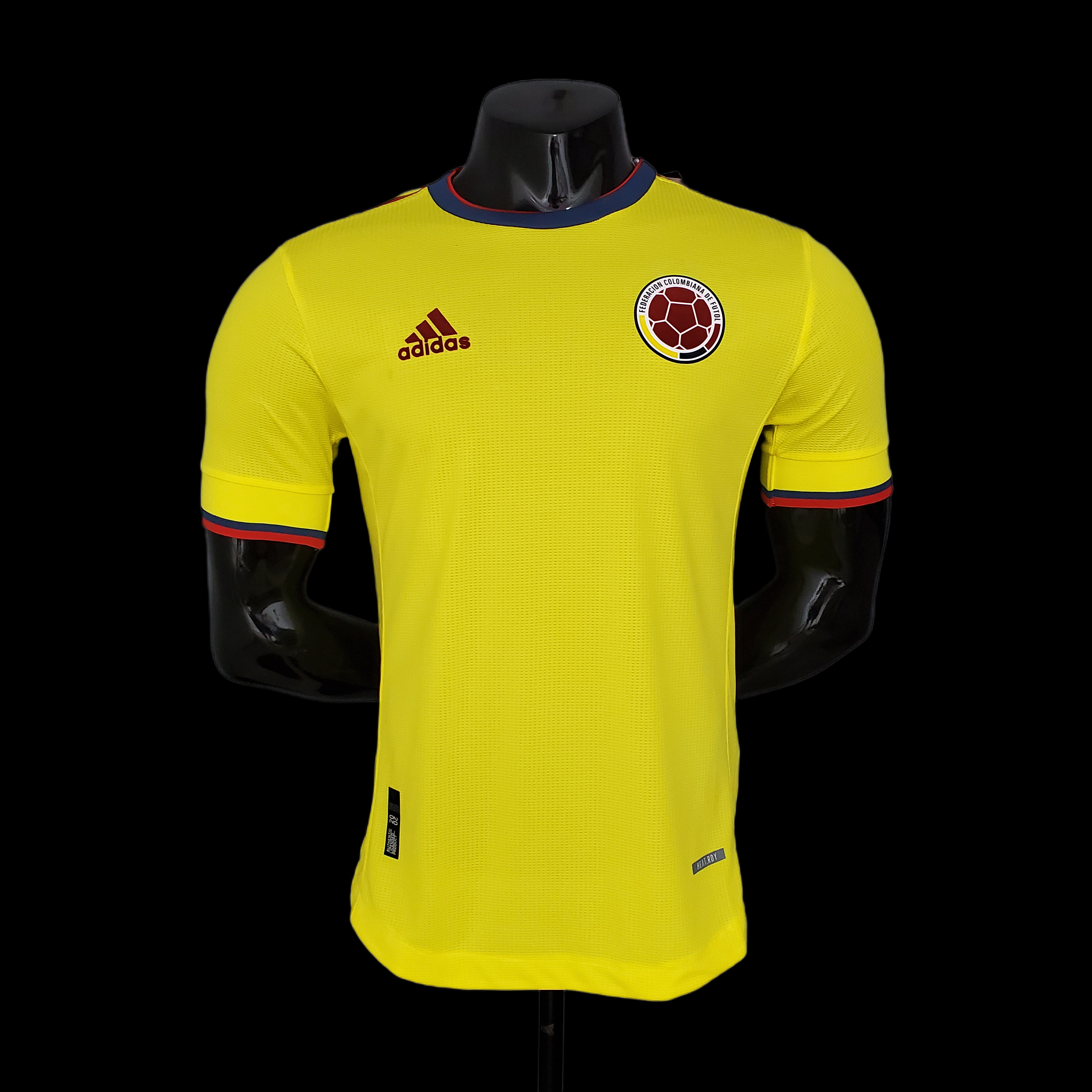 2020 player version Colombia home