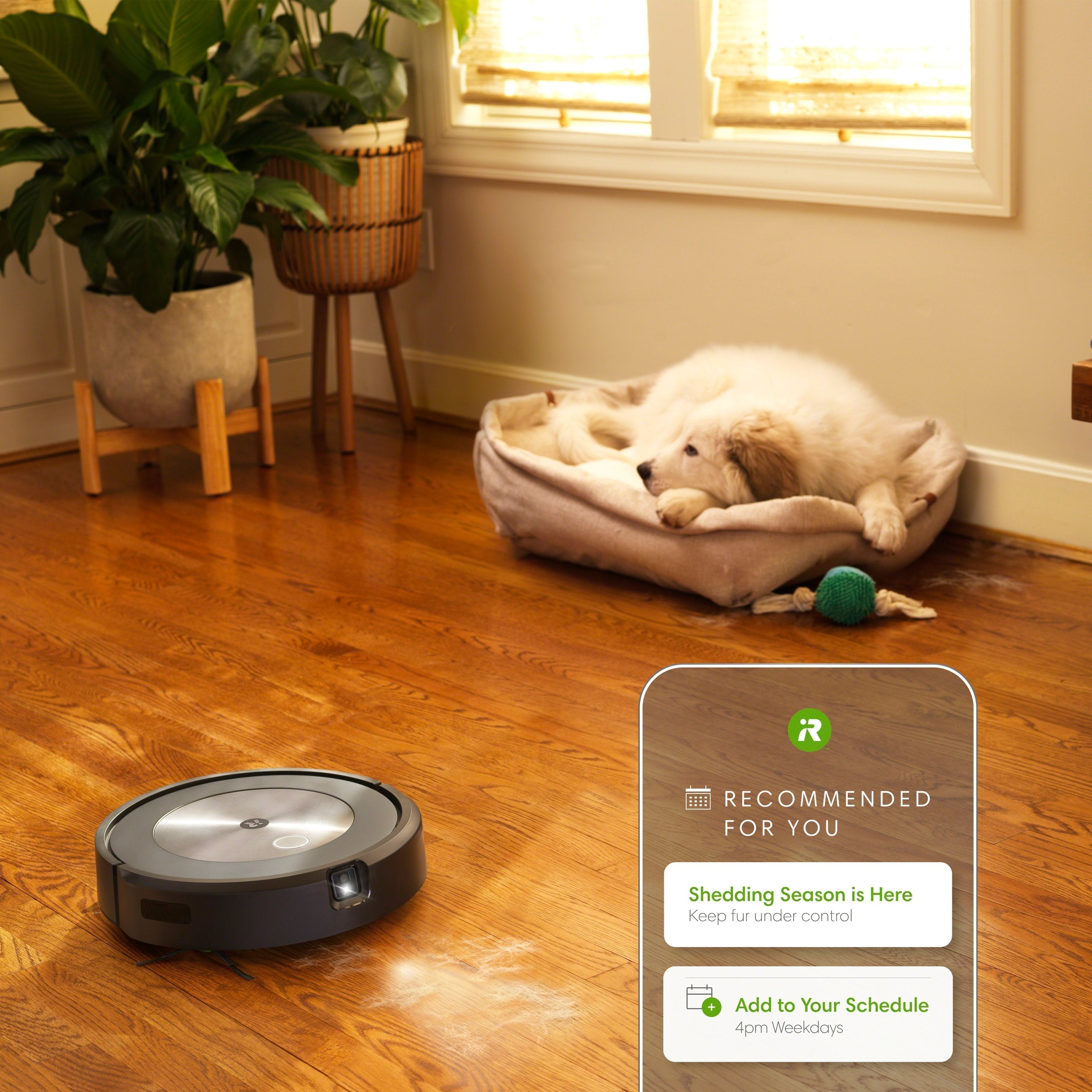 iRobot Robot Roomba j7+ (7550) Robot Vacuum - Graphite