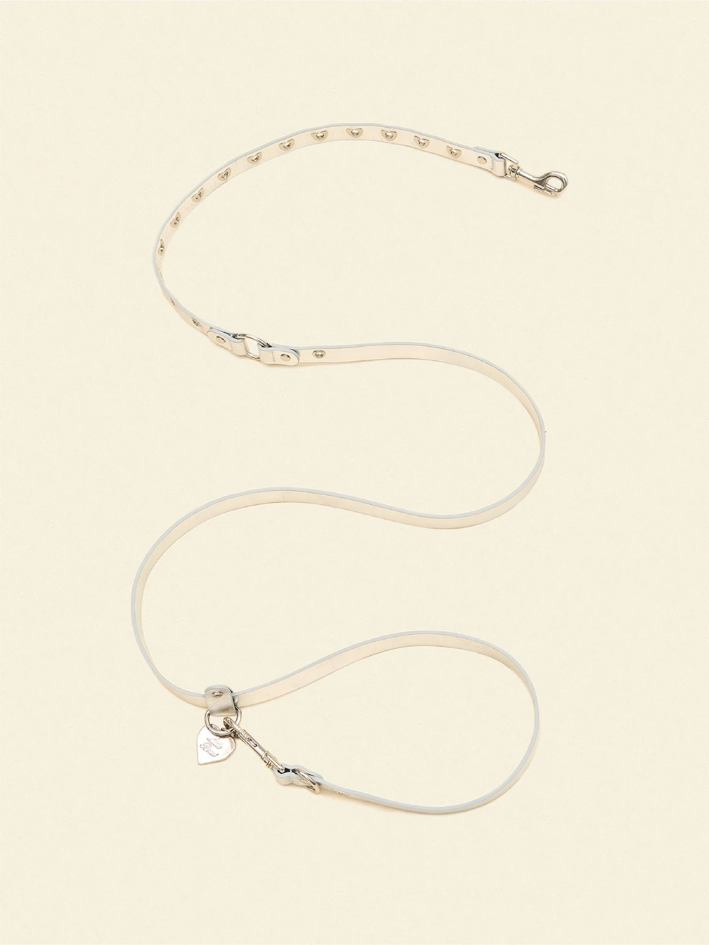 You Mean The World To Me Leash - Silver