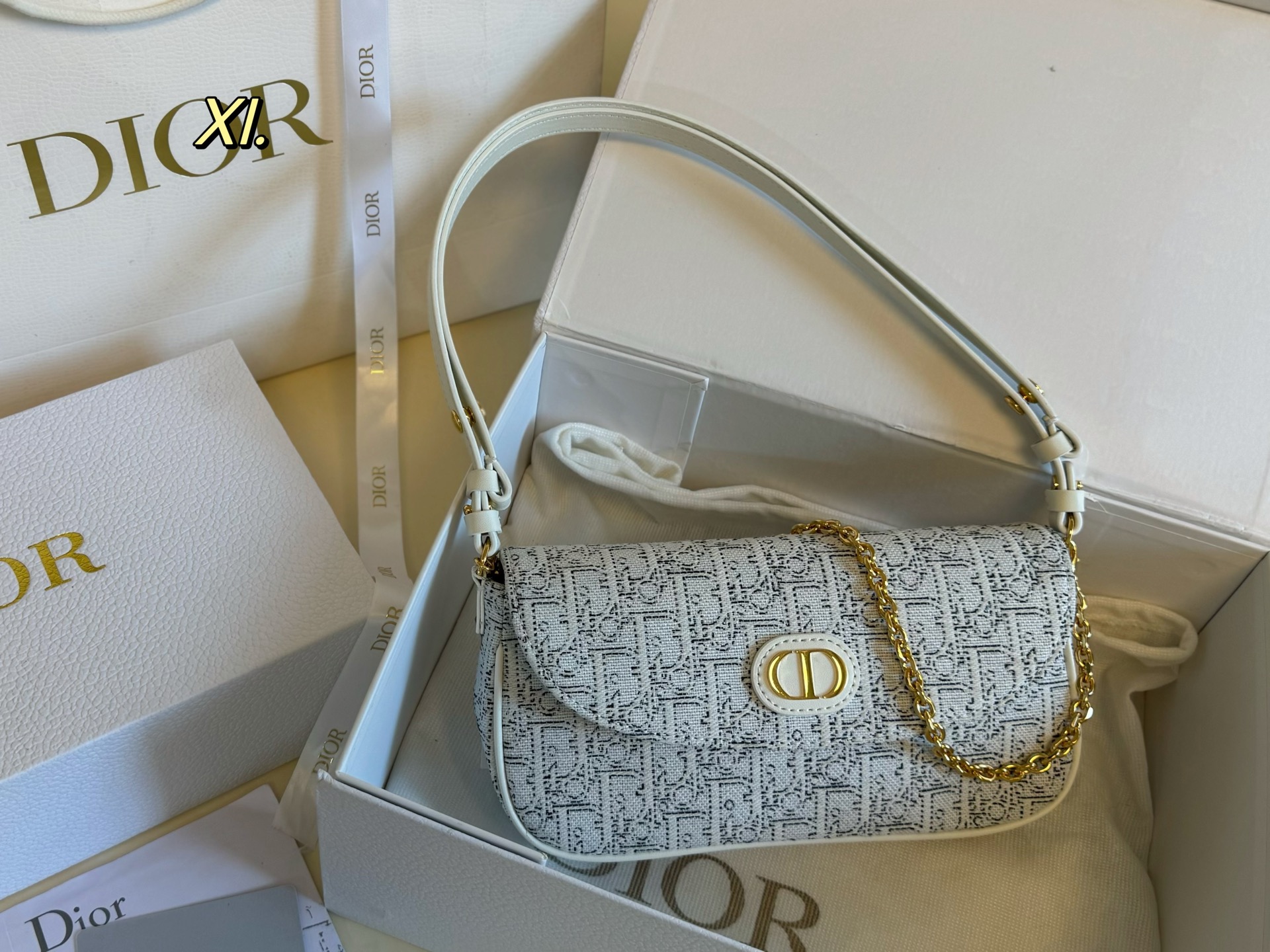 Dior Montaigne Chain Bag - cnluxepick