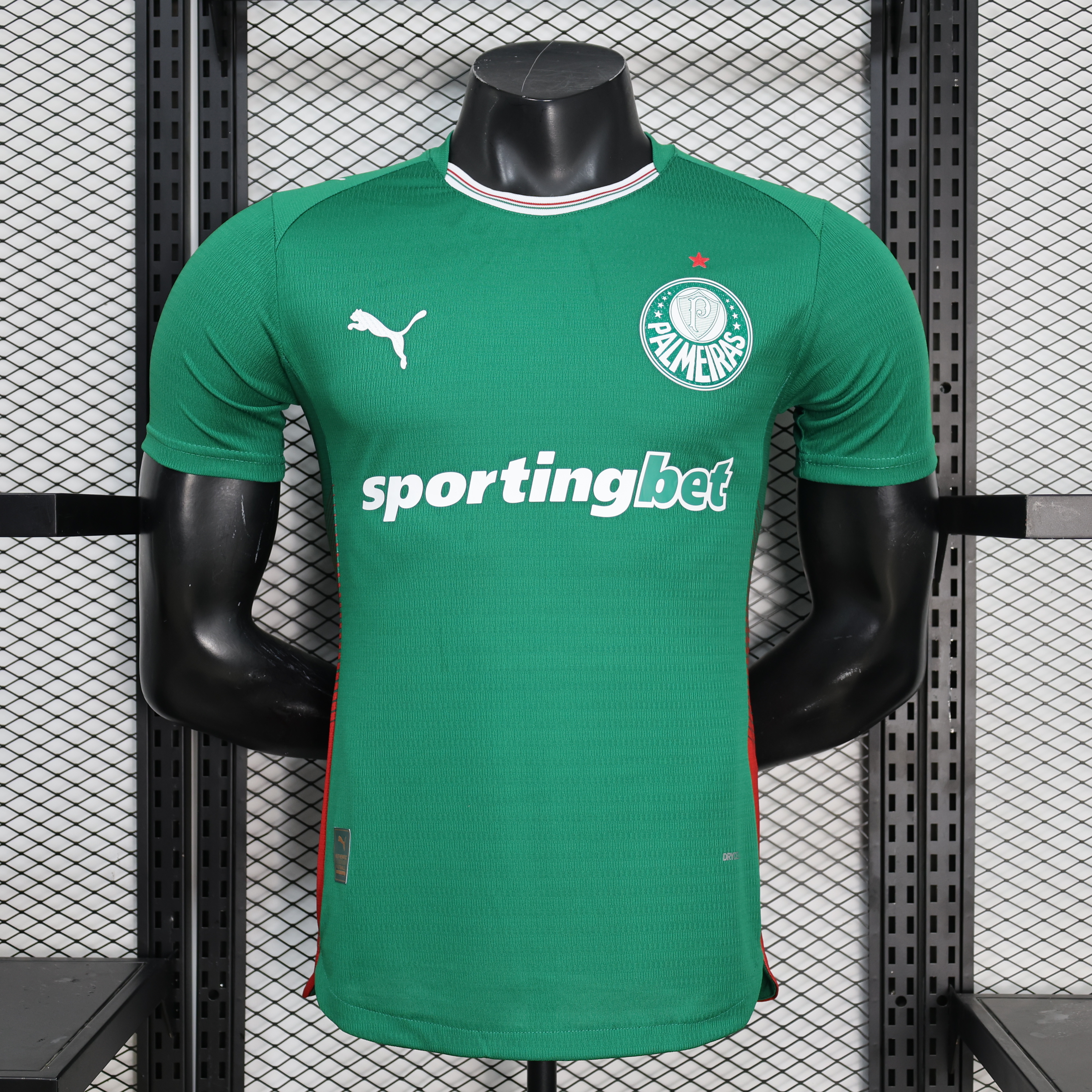 Palmeiras 26-27 home player version