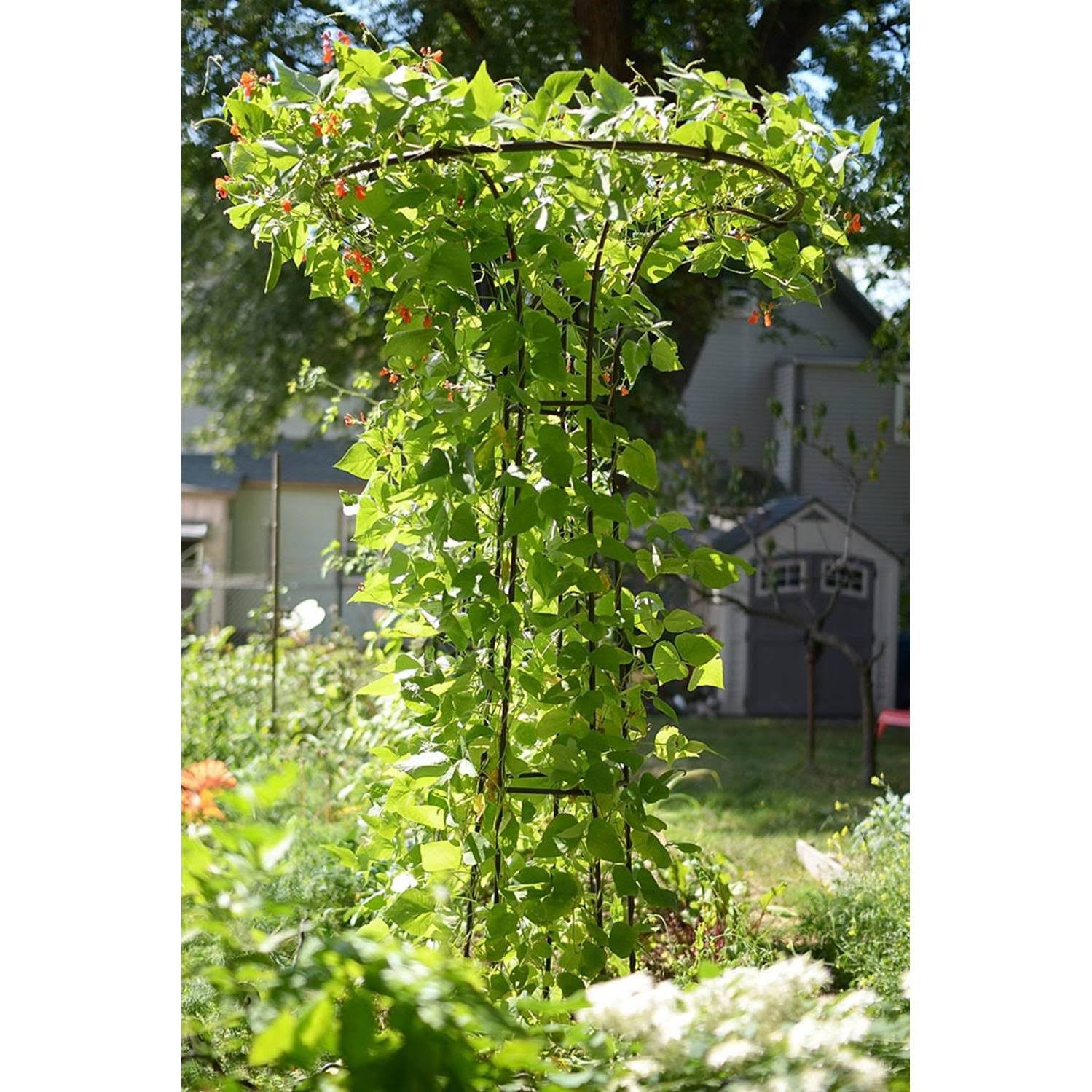 Achla Designs Mushroom Trellis I