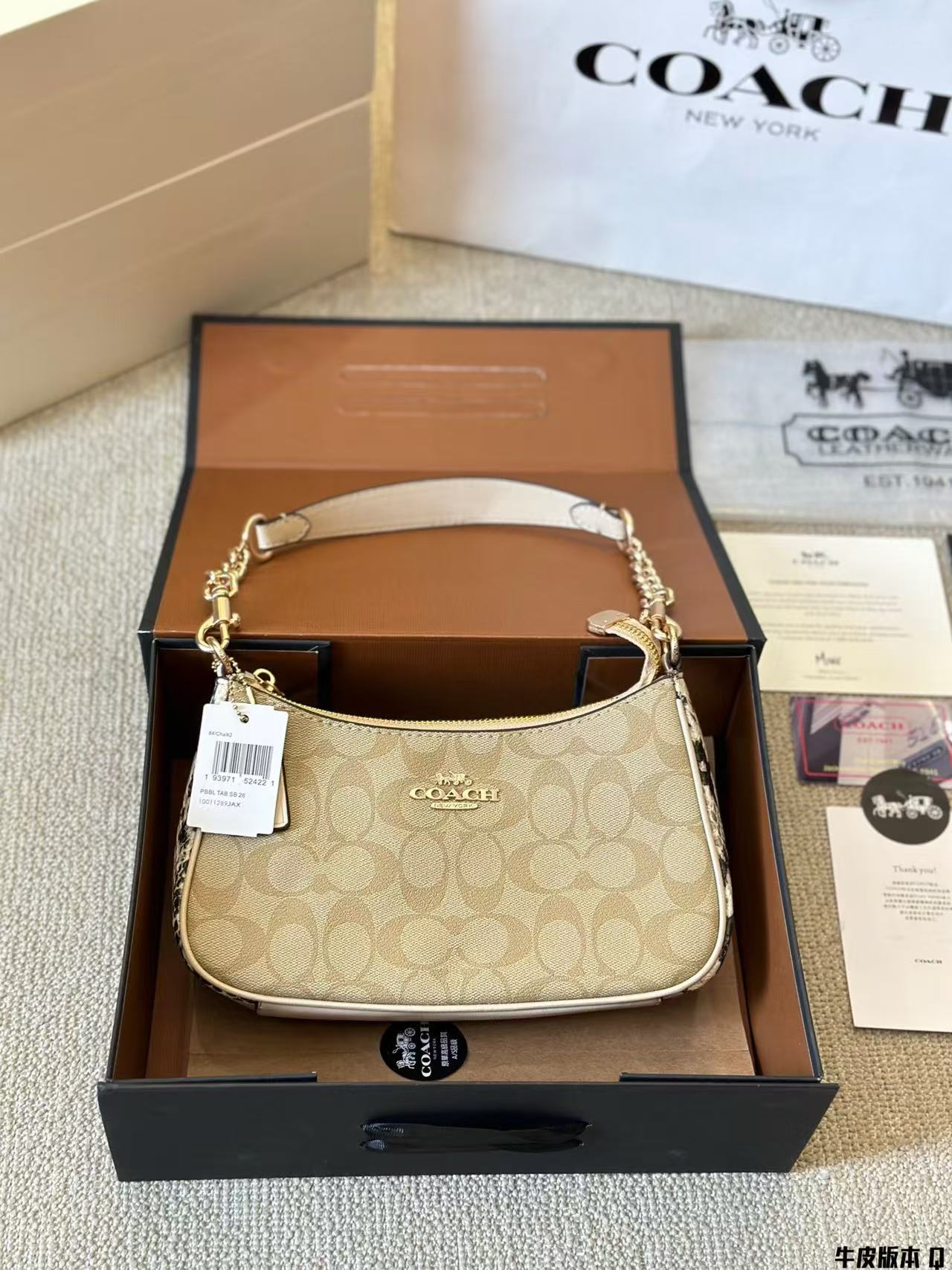 Coach Teri Underarm Bag - cnluxepick