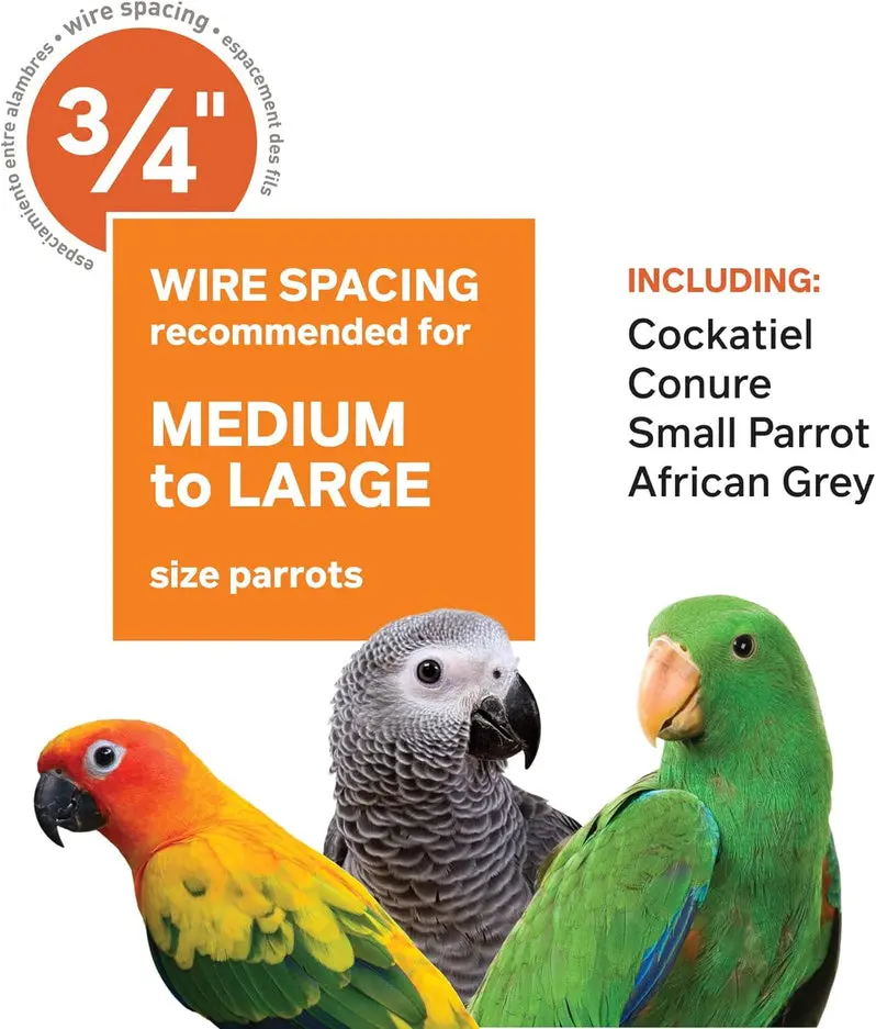 Wrought Iron Bird Cage – Chalk White, 36″ x 24″ x 66″, Model 3154C