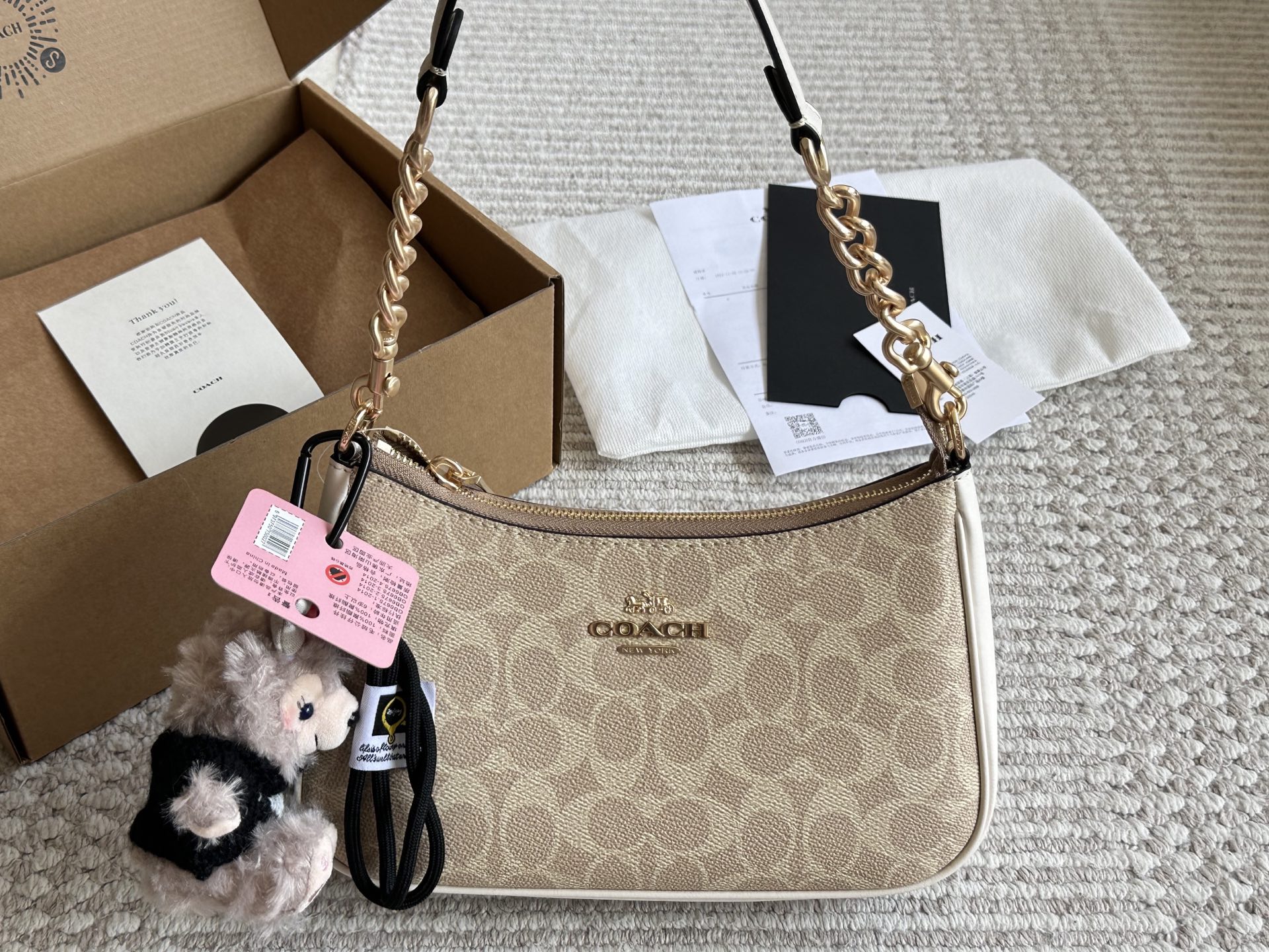 Coach Teri Underarm Bag - cnluxepick