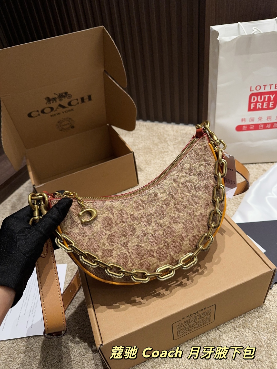Coach Crescent Underarm Bag - cnluxepick