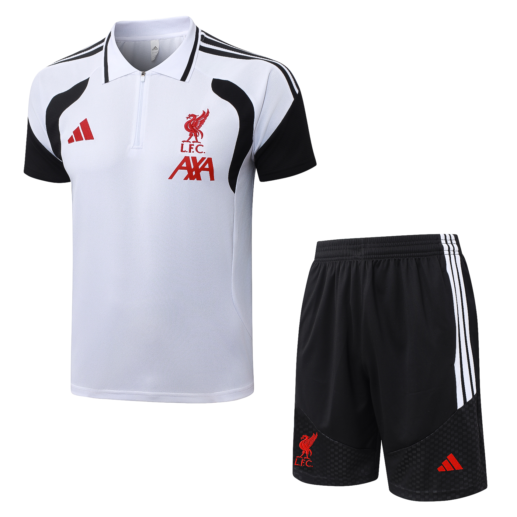 LVP 26/27 Training Suit C2633 C2625 POLO 2
