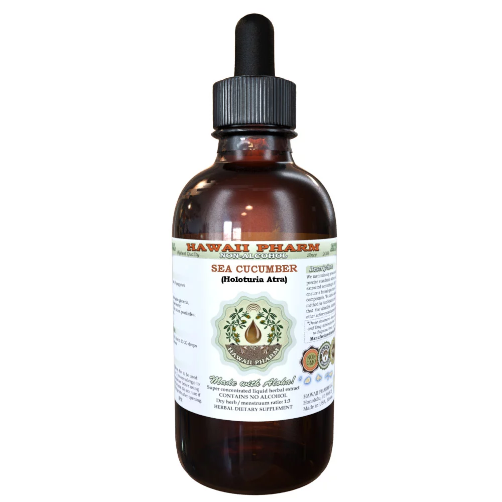 Sea Cucumber (Holothuria Atra) Glycerite, Dried Sea Cucumber Alcohol-Free Liquid Extract, Lollyfish, Glycerite Herbal Supplement 2 oz