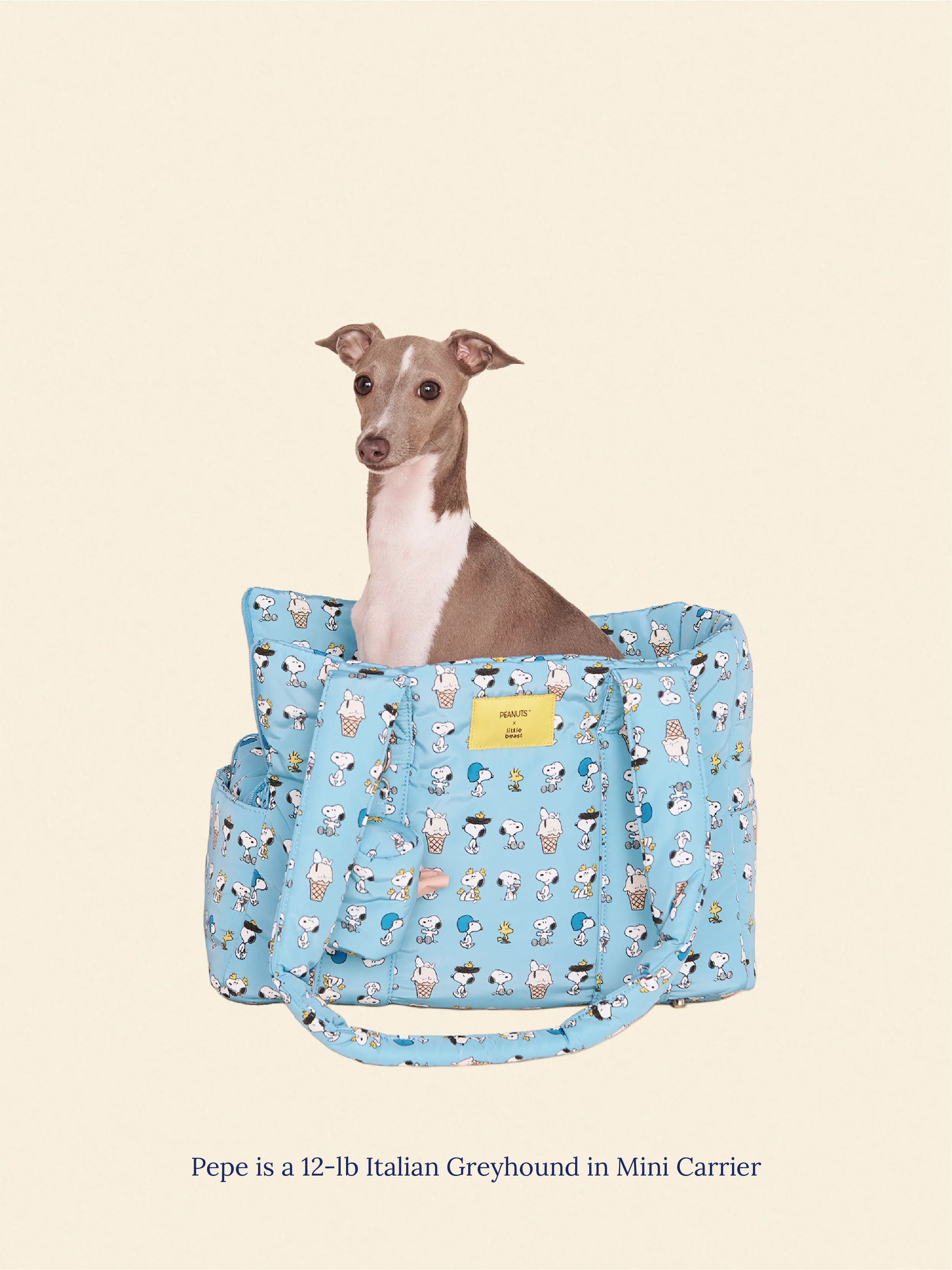 Snoopy Chillin Carrier - PEANUTS