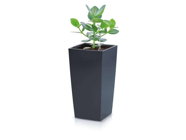 Prosperplast Pot de fleurs Urbi Square, en plastique