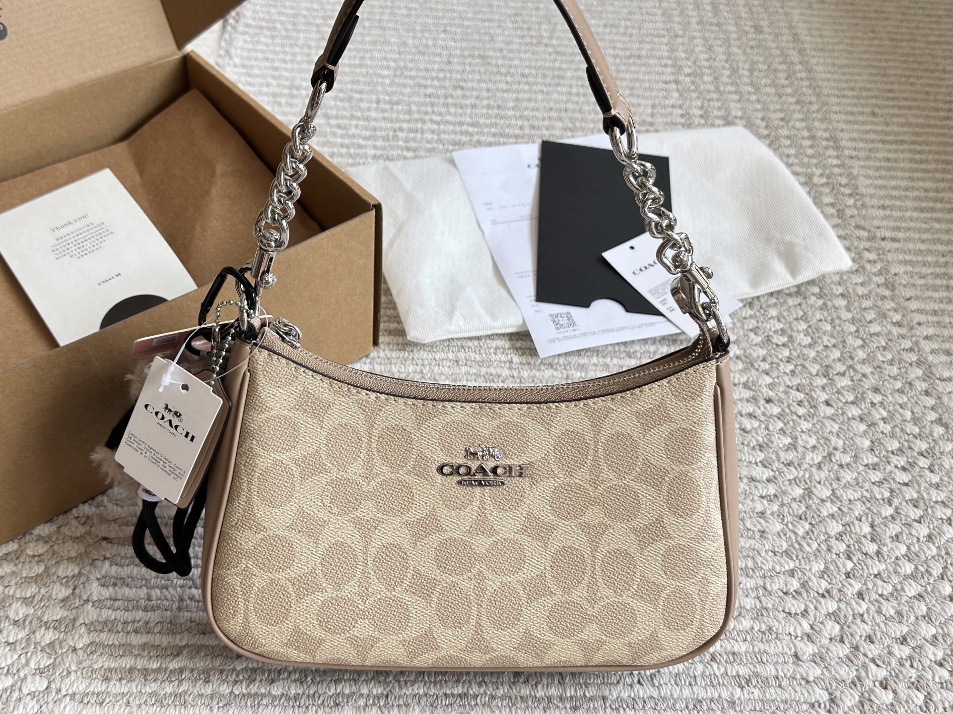 Coach Teri Underarm Bag - cnluxepick