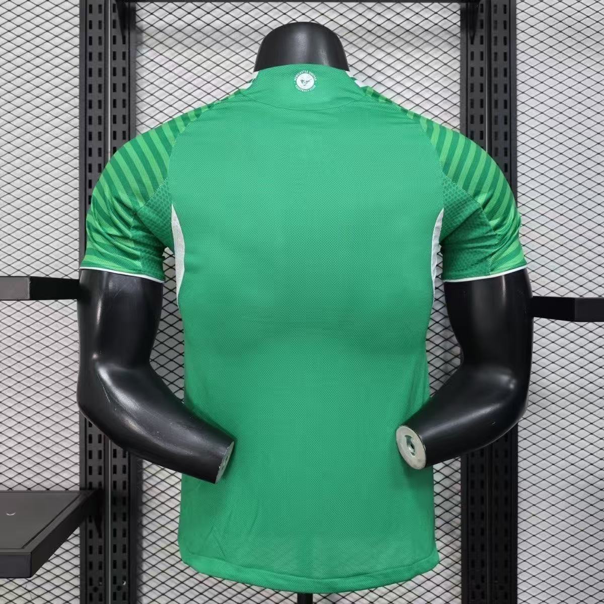 Newcastle 25-26 away player version jersey