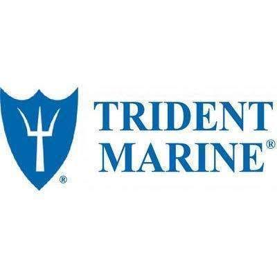 Trident Hose - 290V4000SS Elbow 4in 90D w/Clamps Blue Si