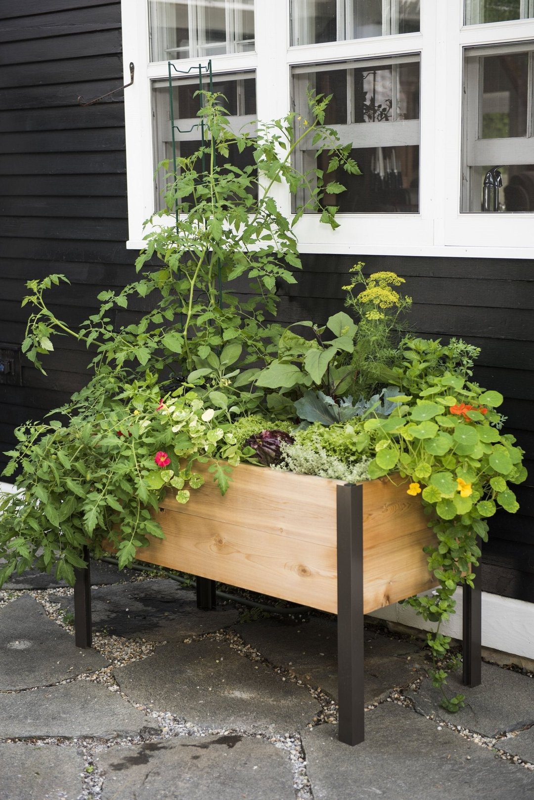 🎉Mart special today🎉Last 30sets Self-Watering Eco-Stained Elevated Planter Box