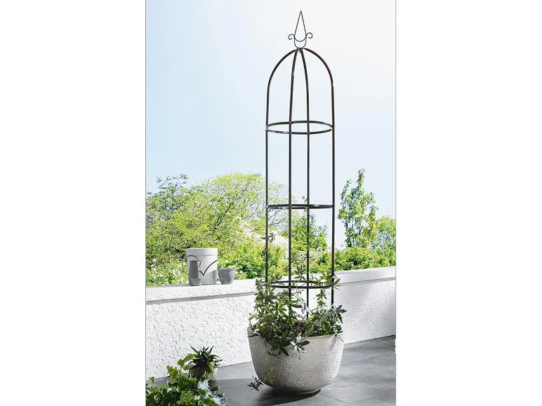 Arche pour rosiers ou Tuteur colonne