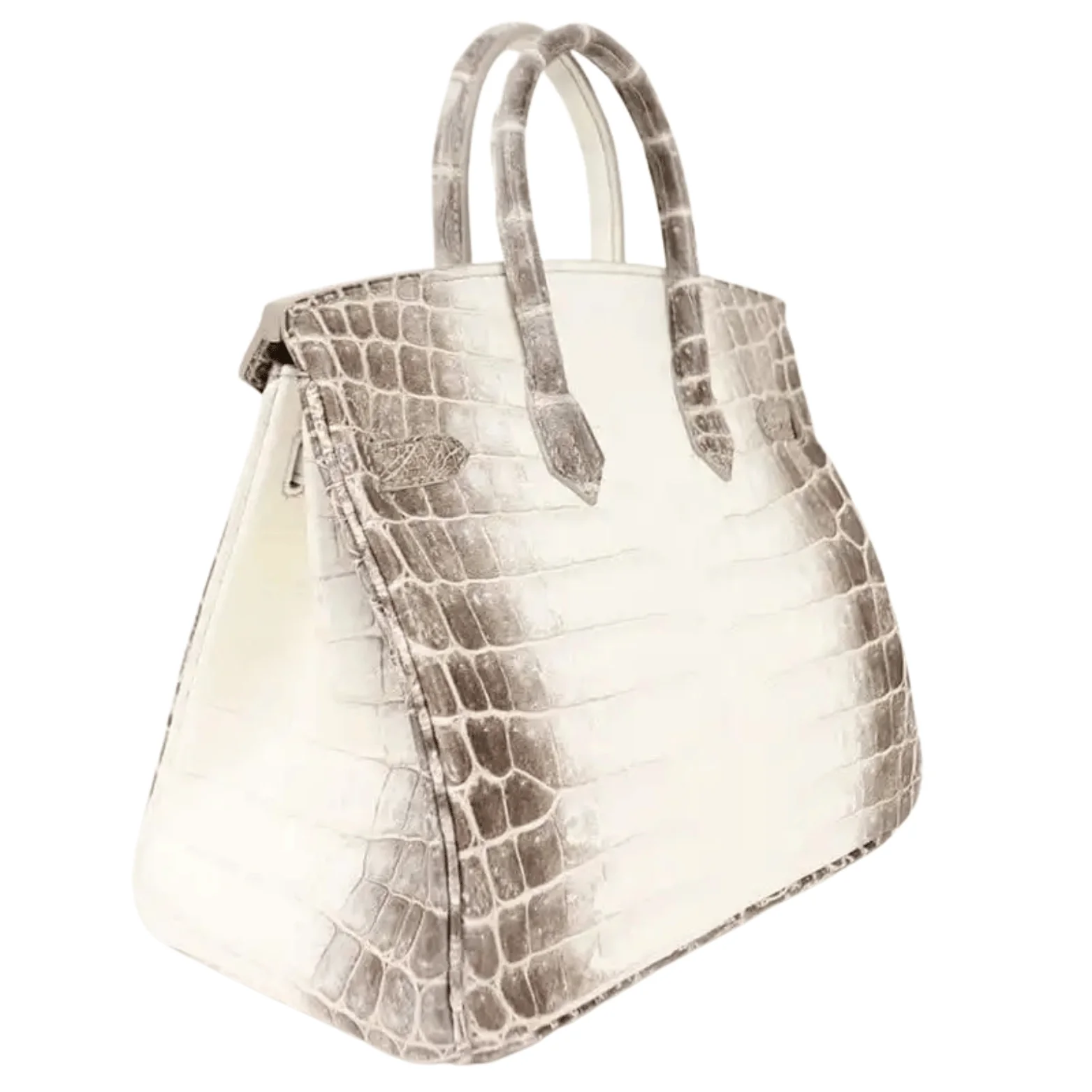 Hermès Bag | Birkin 30 Himalaya Niloticus Crocodile Handbag