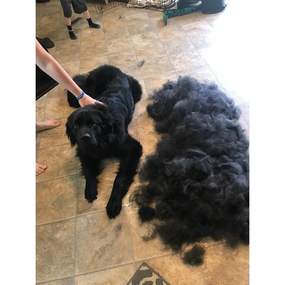 2024 Pet Grooming Brush