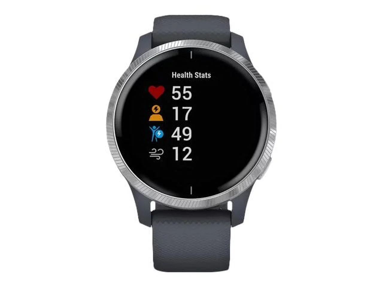 Garmin Venu® Smart Watch, Blue Granite with Silver Hardware