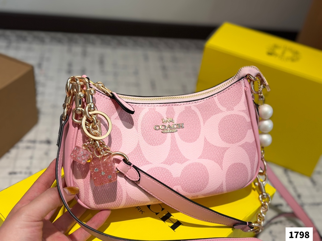 Coach Teri underarm bag - cnluxepick