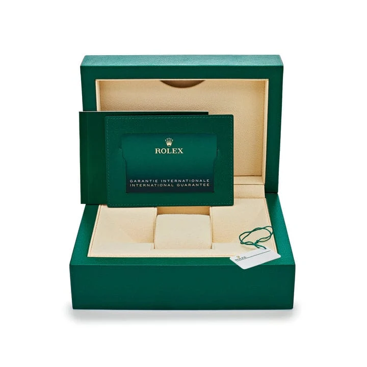 Rolex Sky-Dweller 336239 White Gold Black Dial (2025)