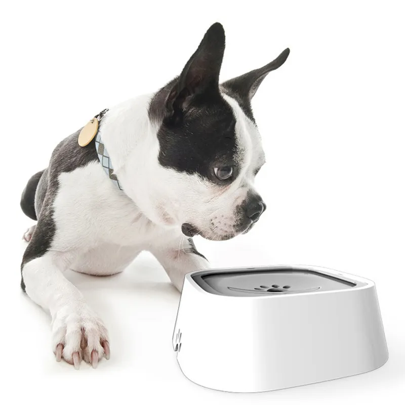 Pet Splash Water Bowl