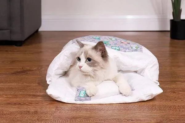 Comfy Kitty Sleeping Bag