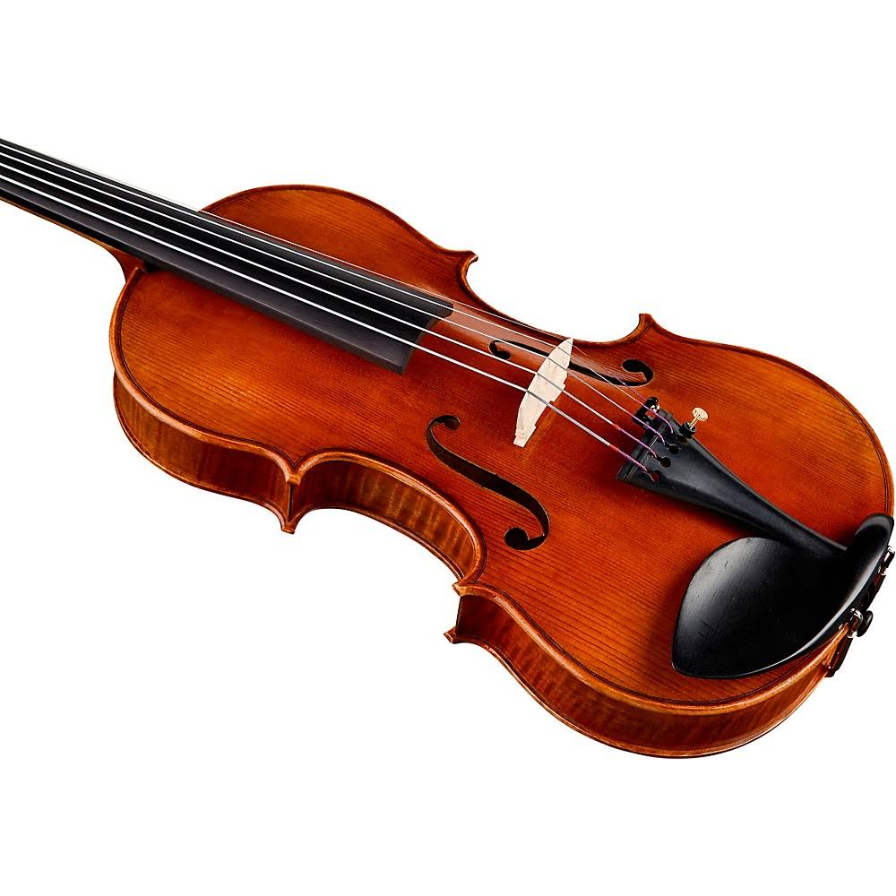 Bellafina Violina 5-String Violin Outfit 14 in