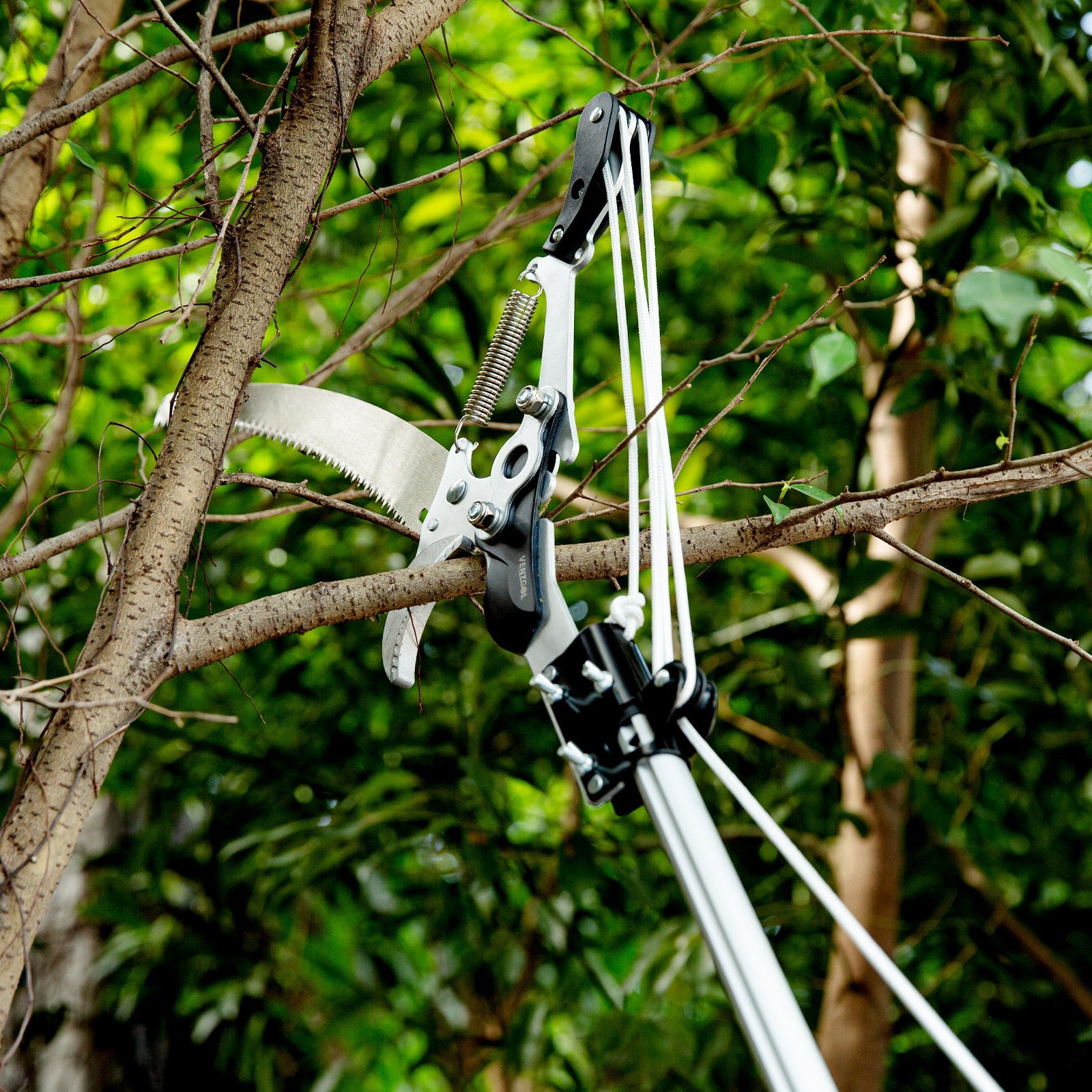 Ventool 120″ – 160″ Telescoplc Tree Pruners, Heavy-duty Branch Cutters