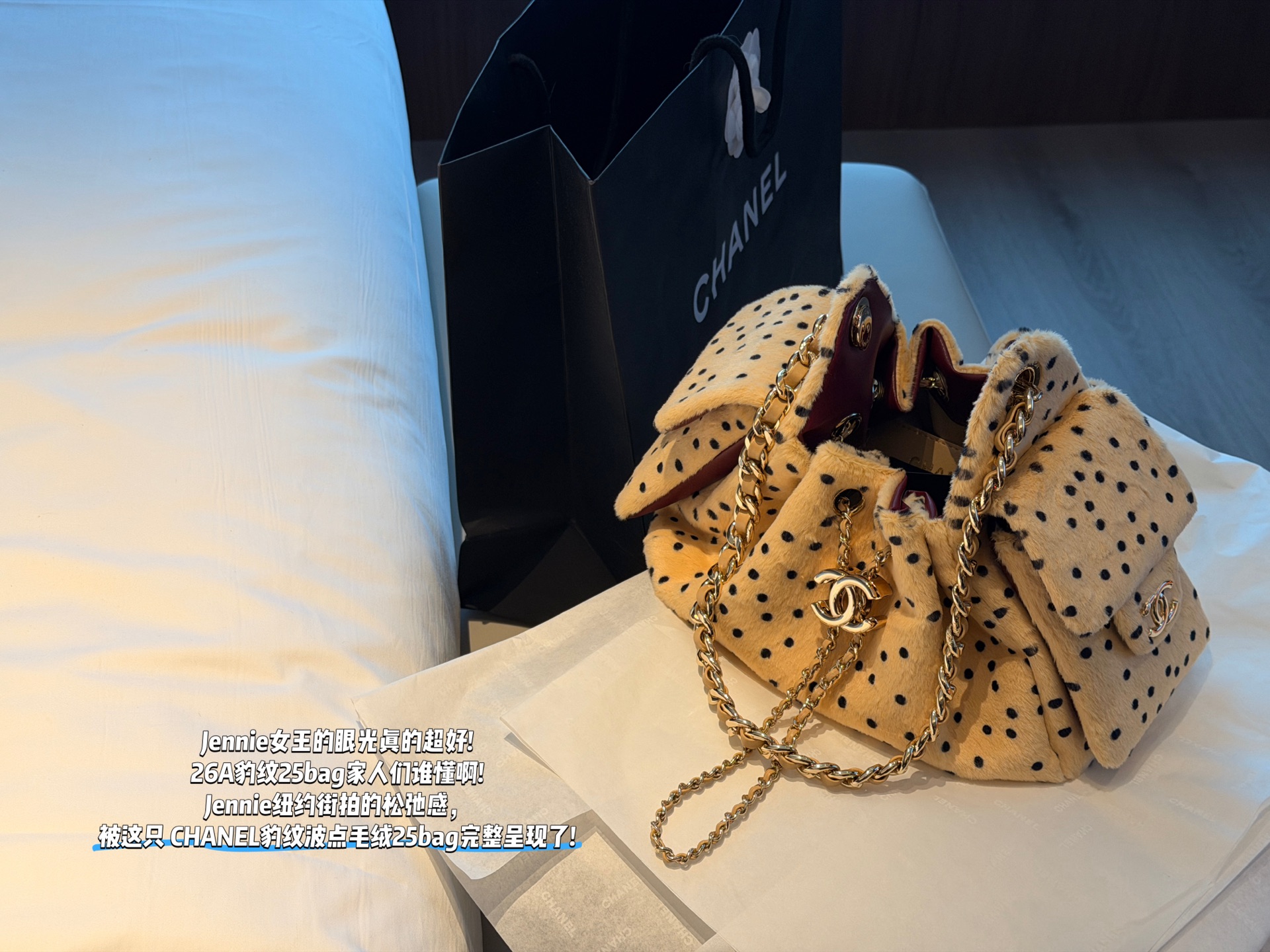CHANEL 26A Leopard Print 25 Bag - cnluxepick