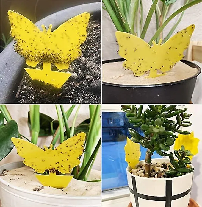 50pcs Plug-in Fly Trap Yellow Plates Sticker Plant Protection Against Insect Traps Aphids