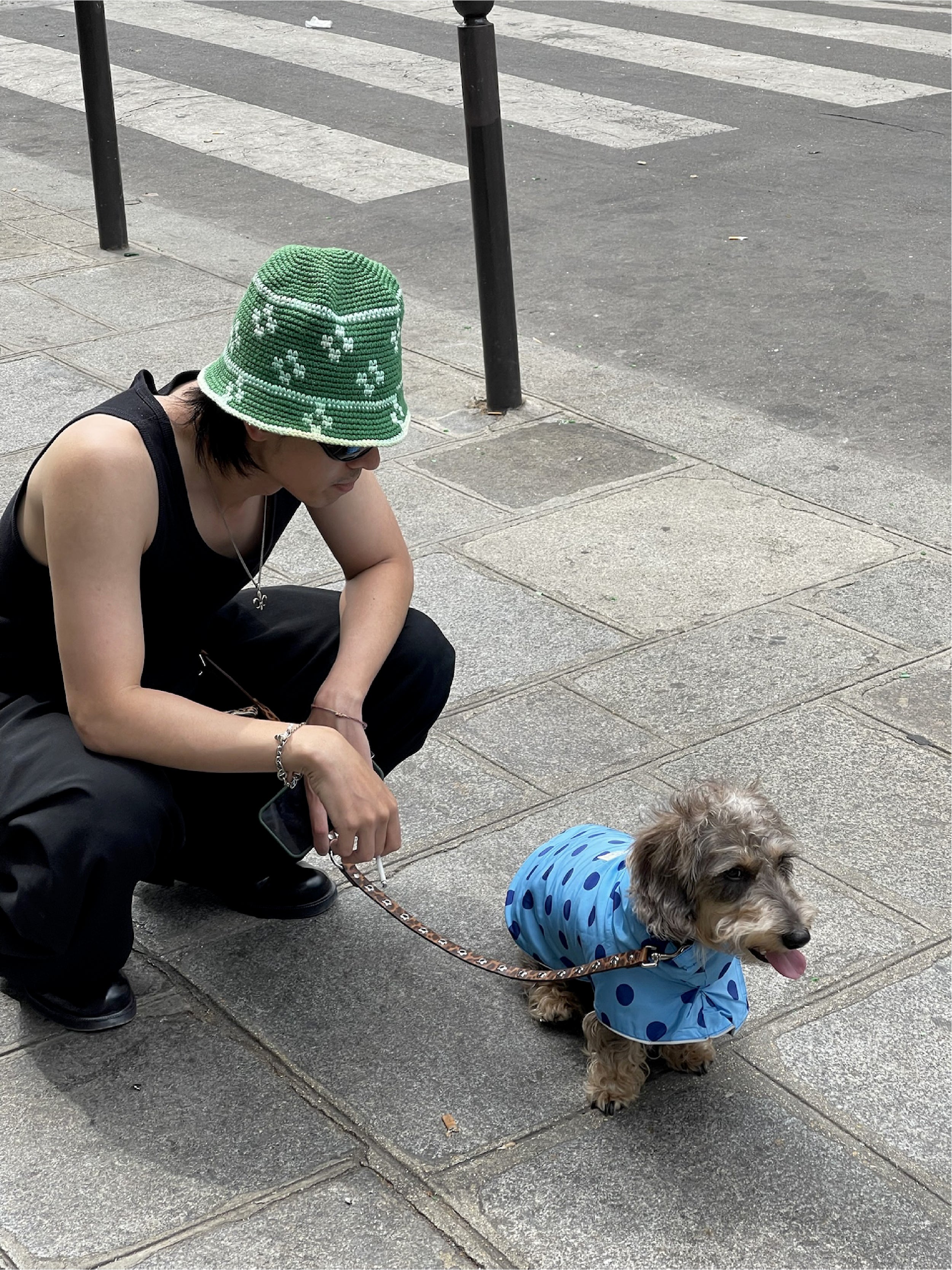 Cougar - Flower Power Leash