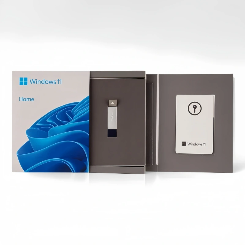 Windows 10 Home USB Box