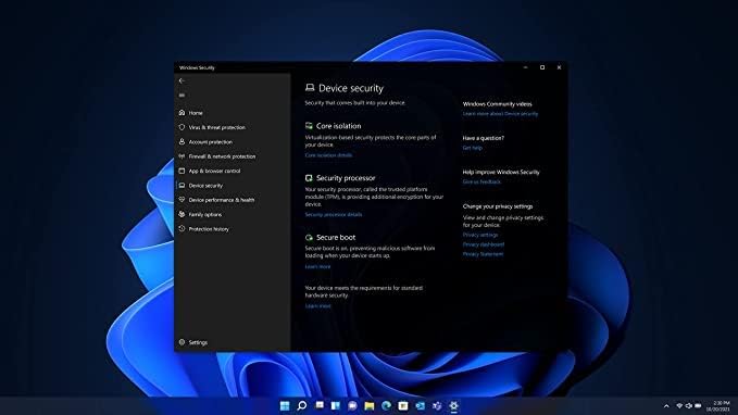 Windows 11 PRO  FPP USB Box