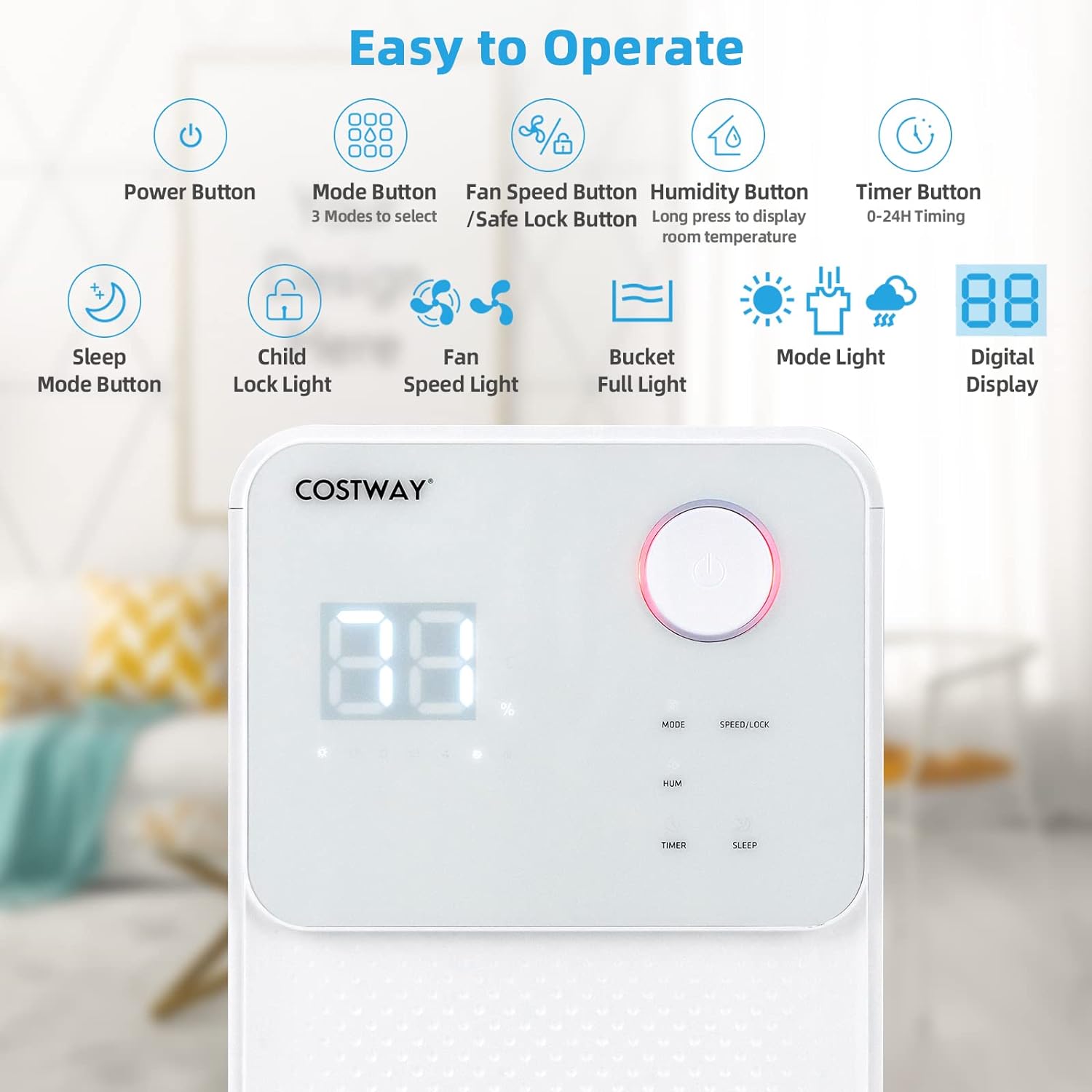 Dehumidifiers for large rooms and basements