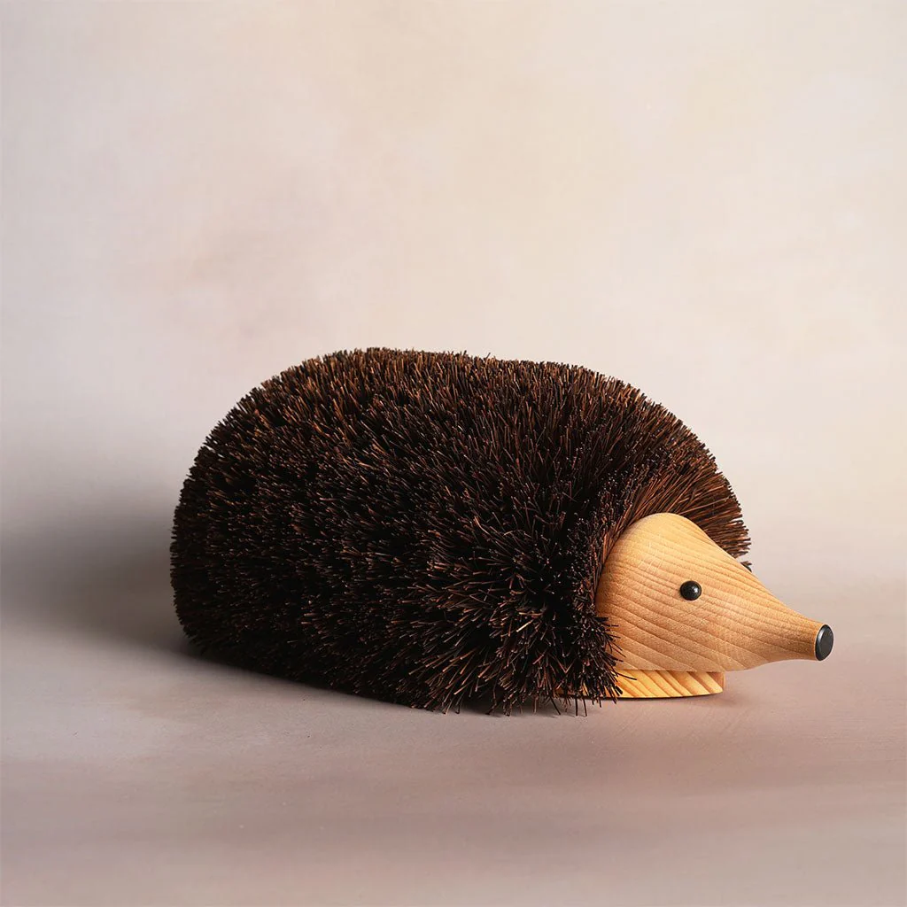 Shoe Cleaning Hedgehog