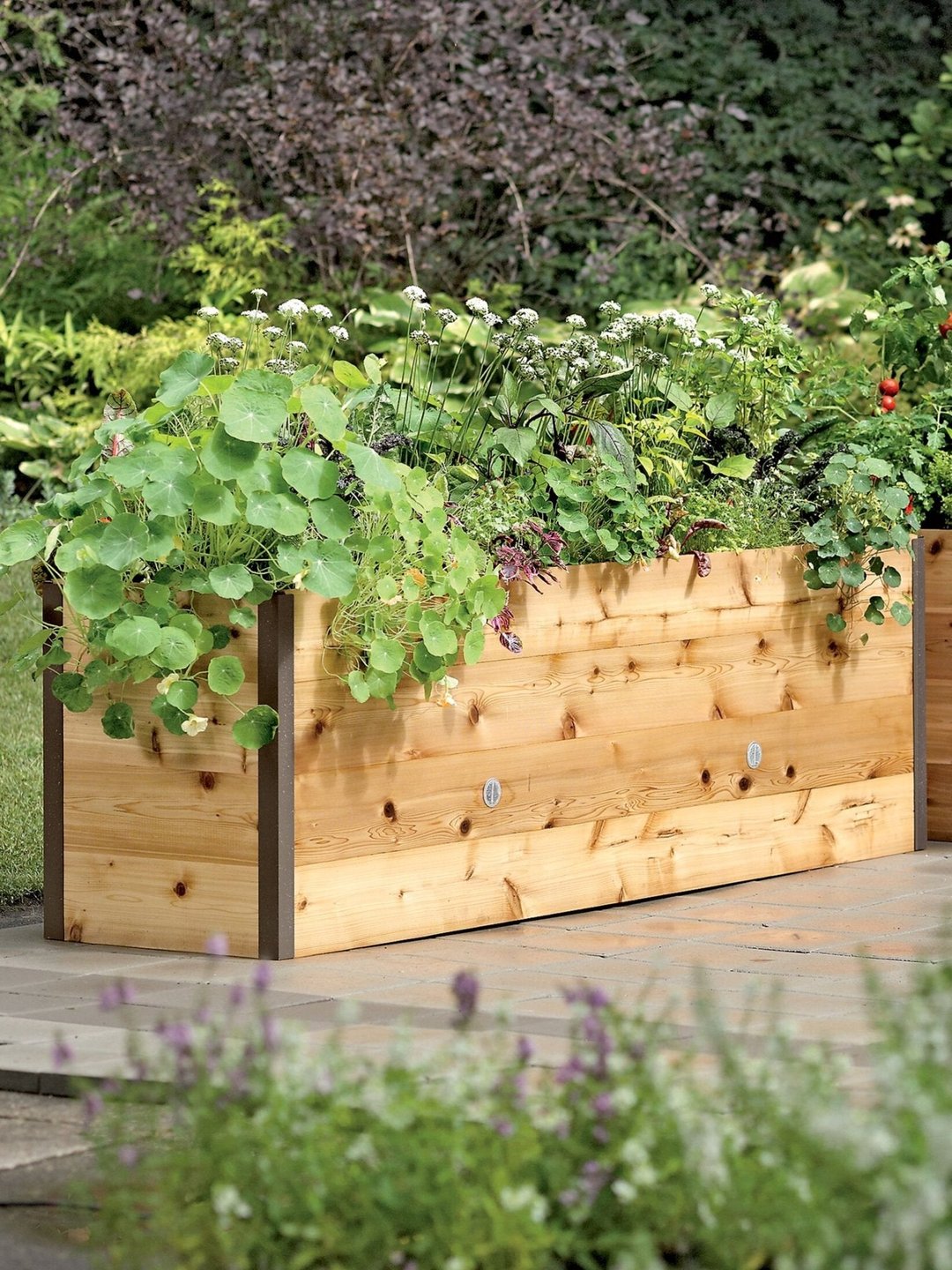 🎉Mart special today🎉Last 30sets Self-Watering Eco-Stained Elevated Planter Box