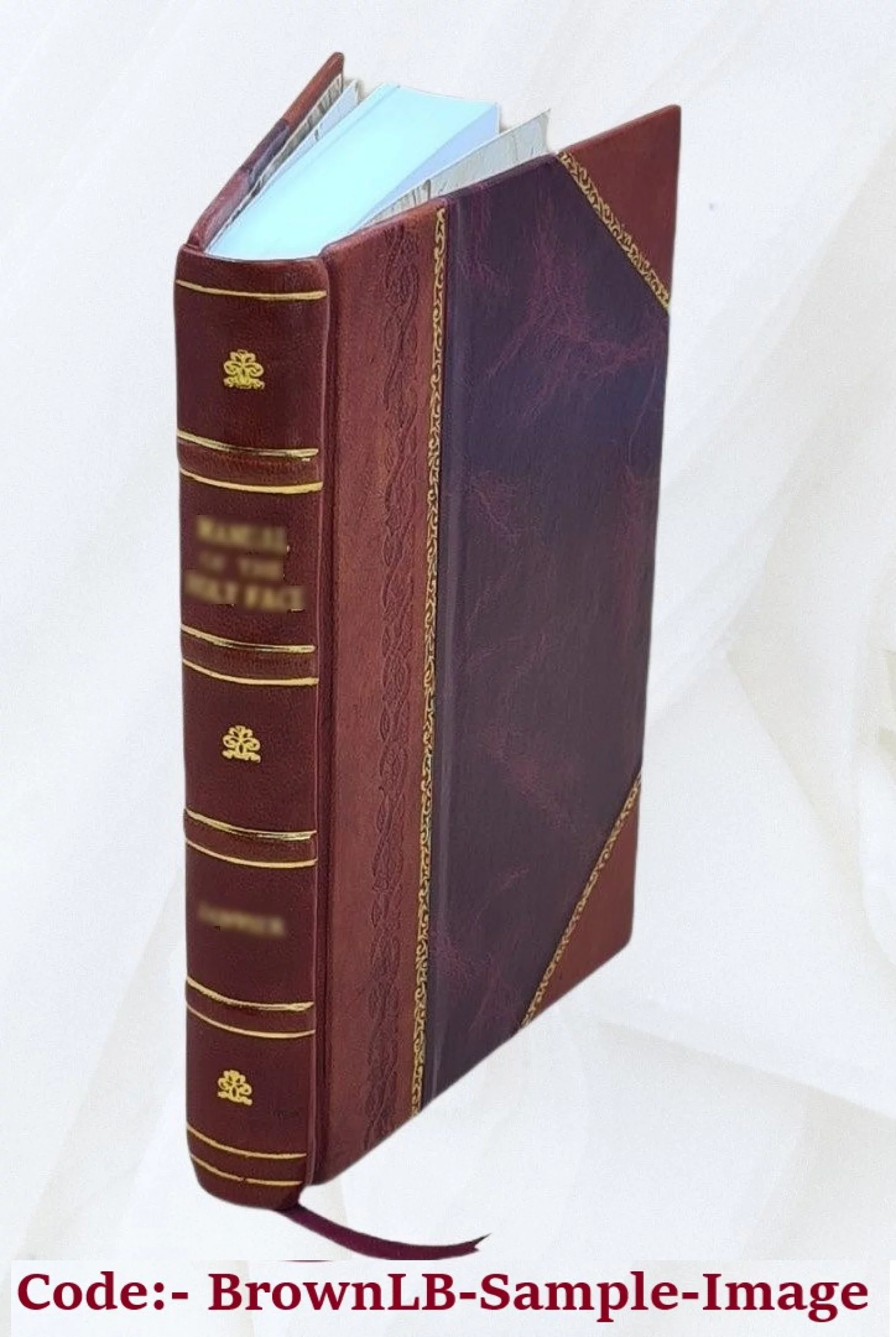 Holyoke Water Power Company: petitioner v. City of Holyoke, Volume 2 [Leather Bound]