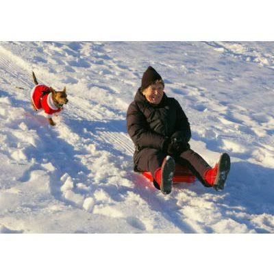 Zipfy Freestyle Mini Luge Snow Sled, Red