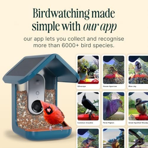 Solar Smart Bird Feeder with Camera – AI Bird Species Identification, 5MP Photos, 2K HD Video Live Stream Camera, Slow-Motion Video, 2.6in Focus – Blue Solar