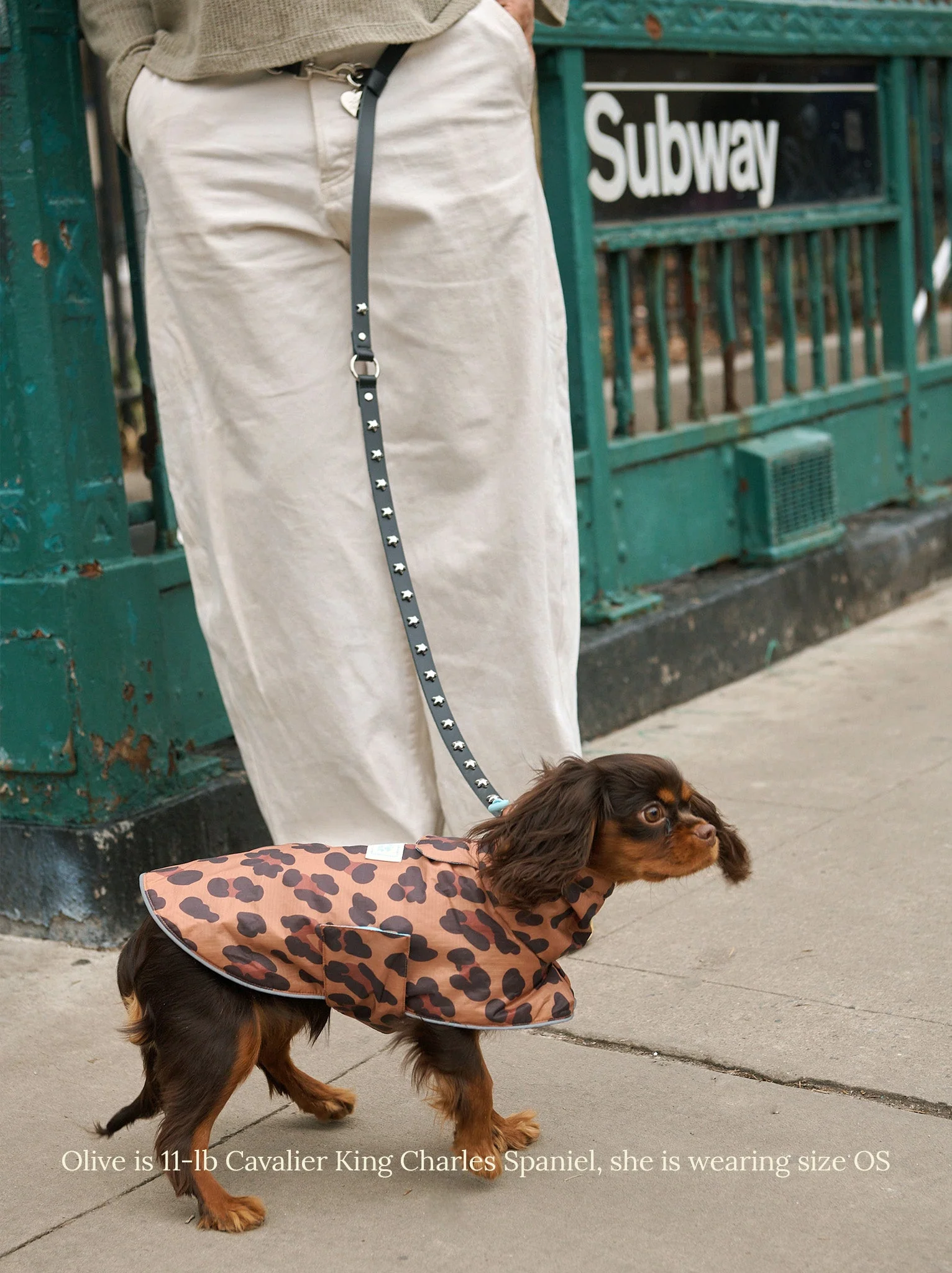 Cowboy Leash - Midnight