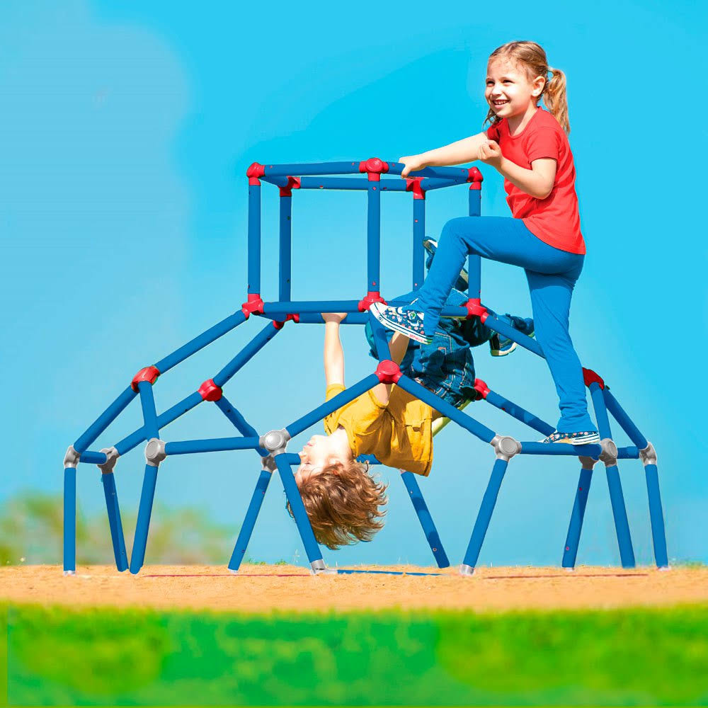 Lil Monkey Dome Climber