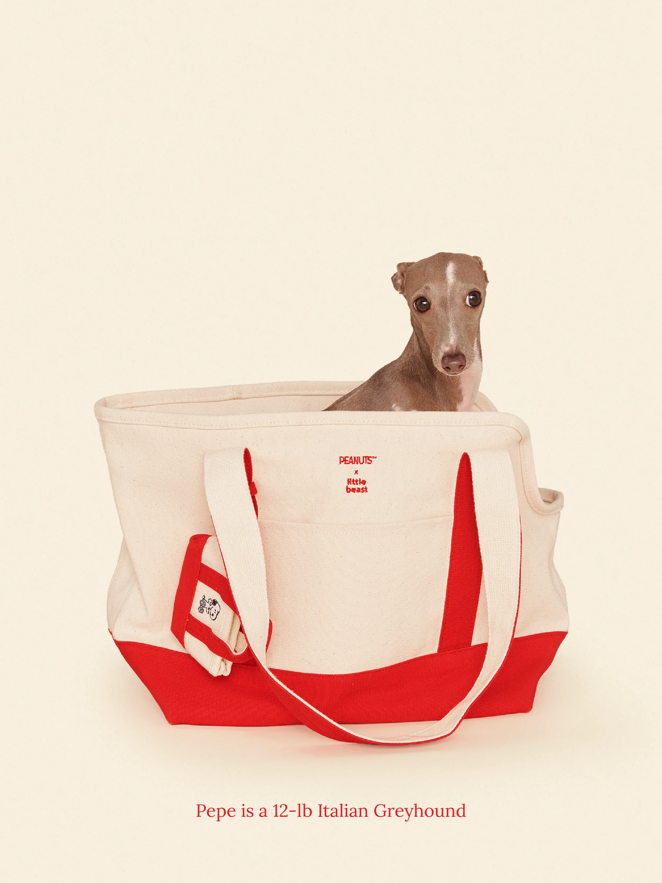Love Drives Me Crazy Canvas Tote - PEANUTS