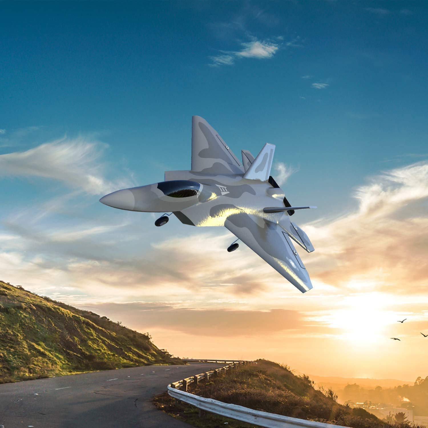 Peace Fighter Remote Controlled Plane
