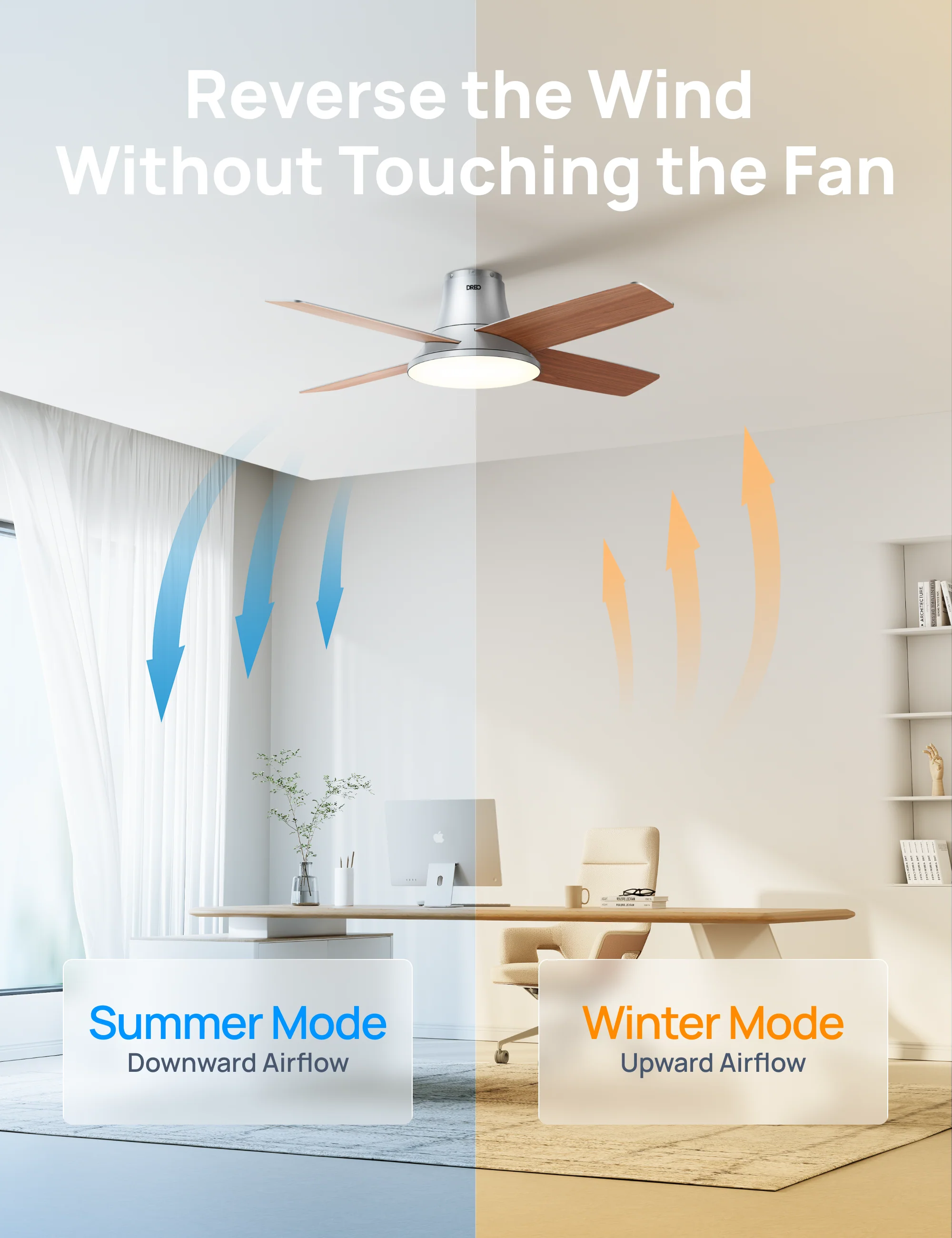 Ceiling Fan CLF513