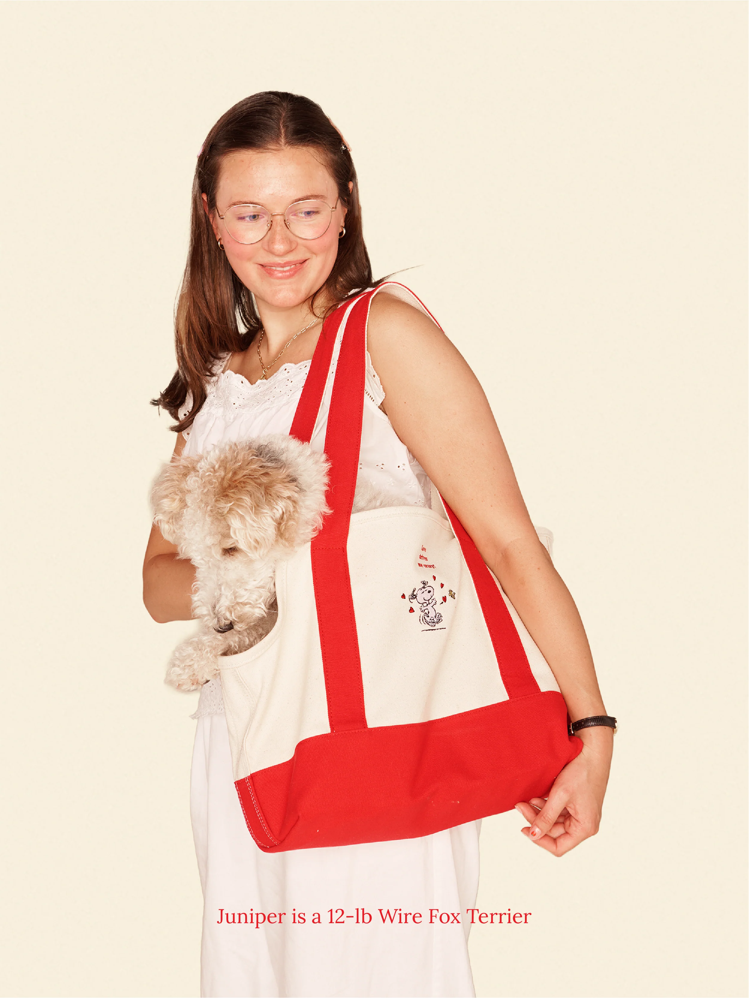 Love Drives Me Crazy Canvas Tote - PEANUTS