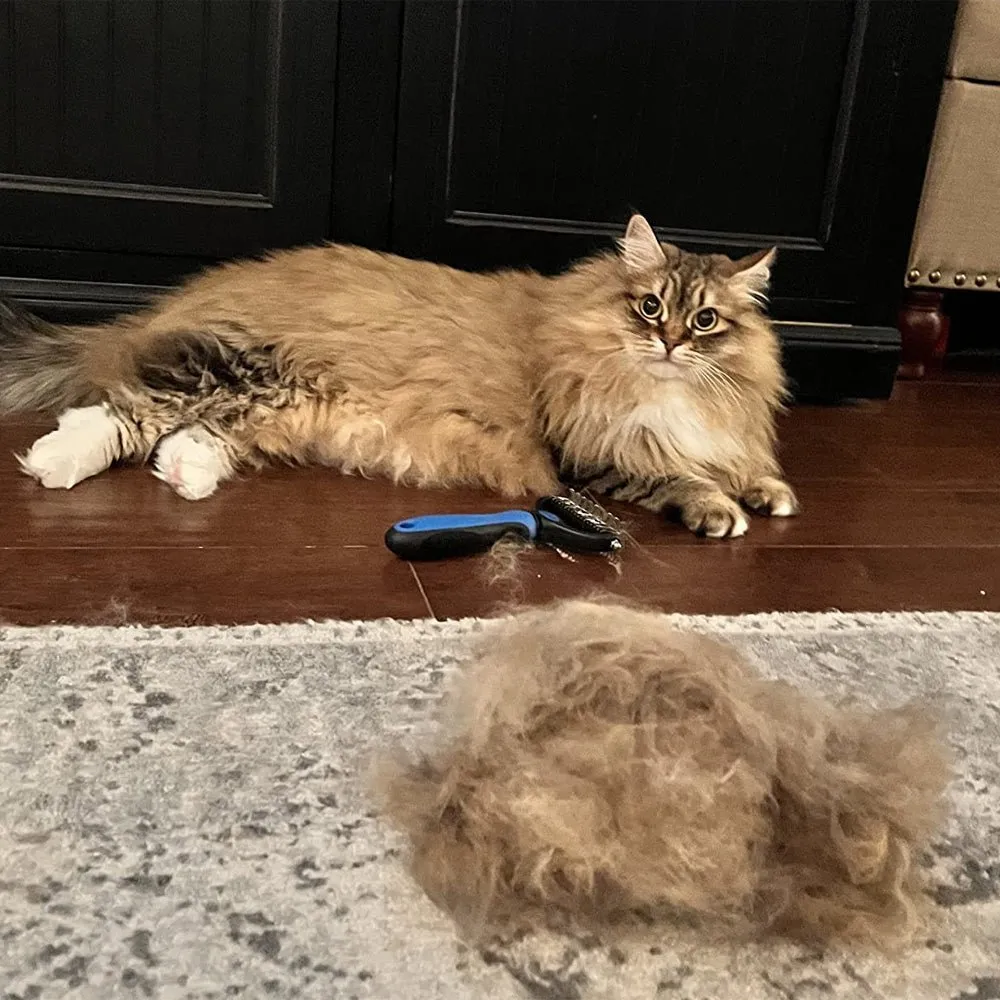 2024 Pet Grooming Brush